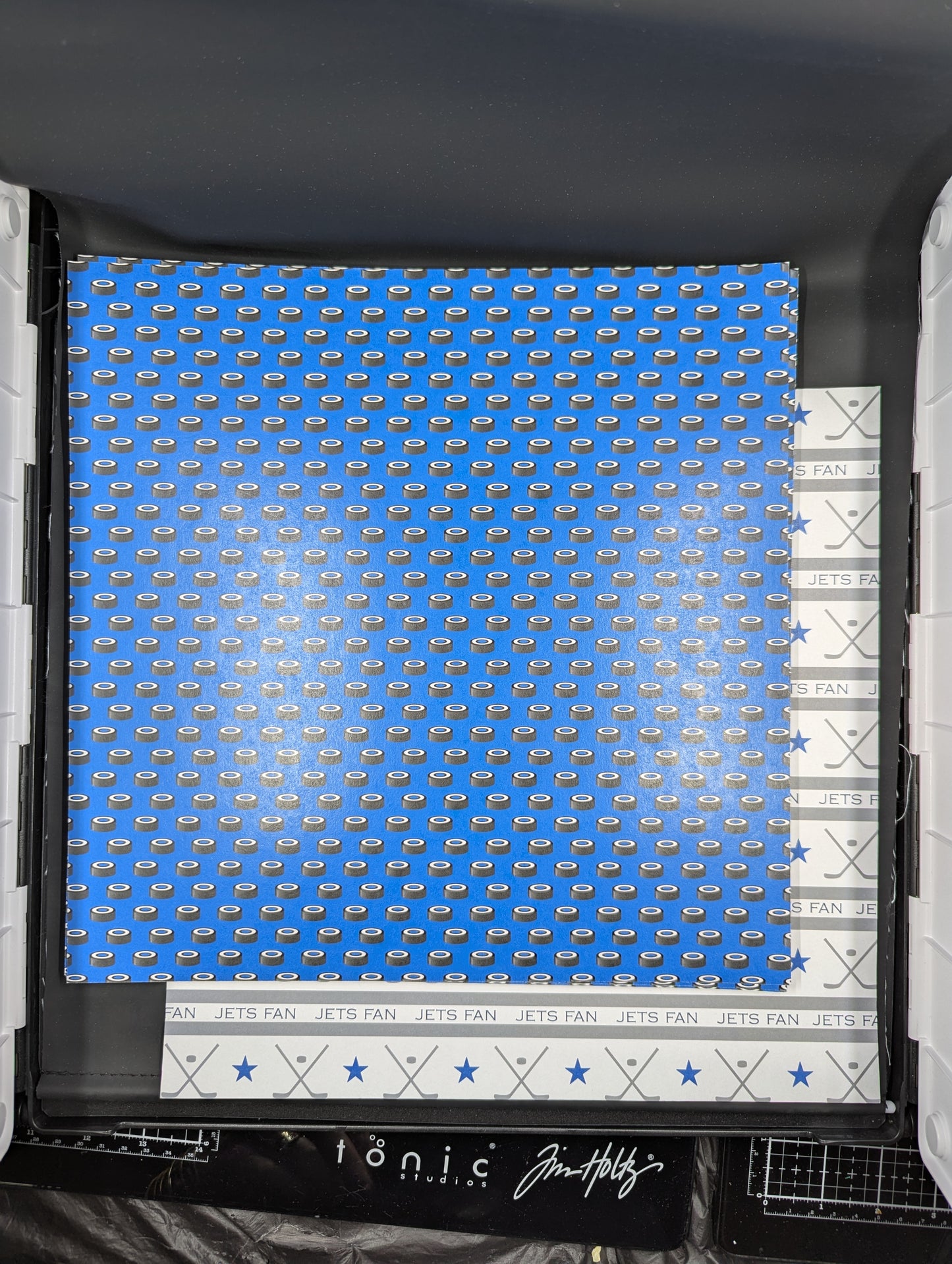 12x12 blue and white hockey pucks