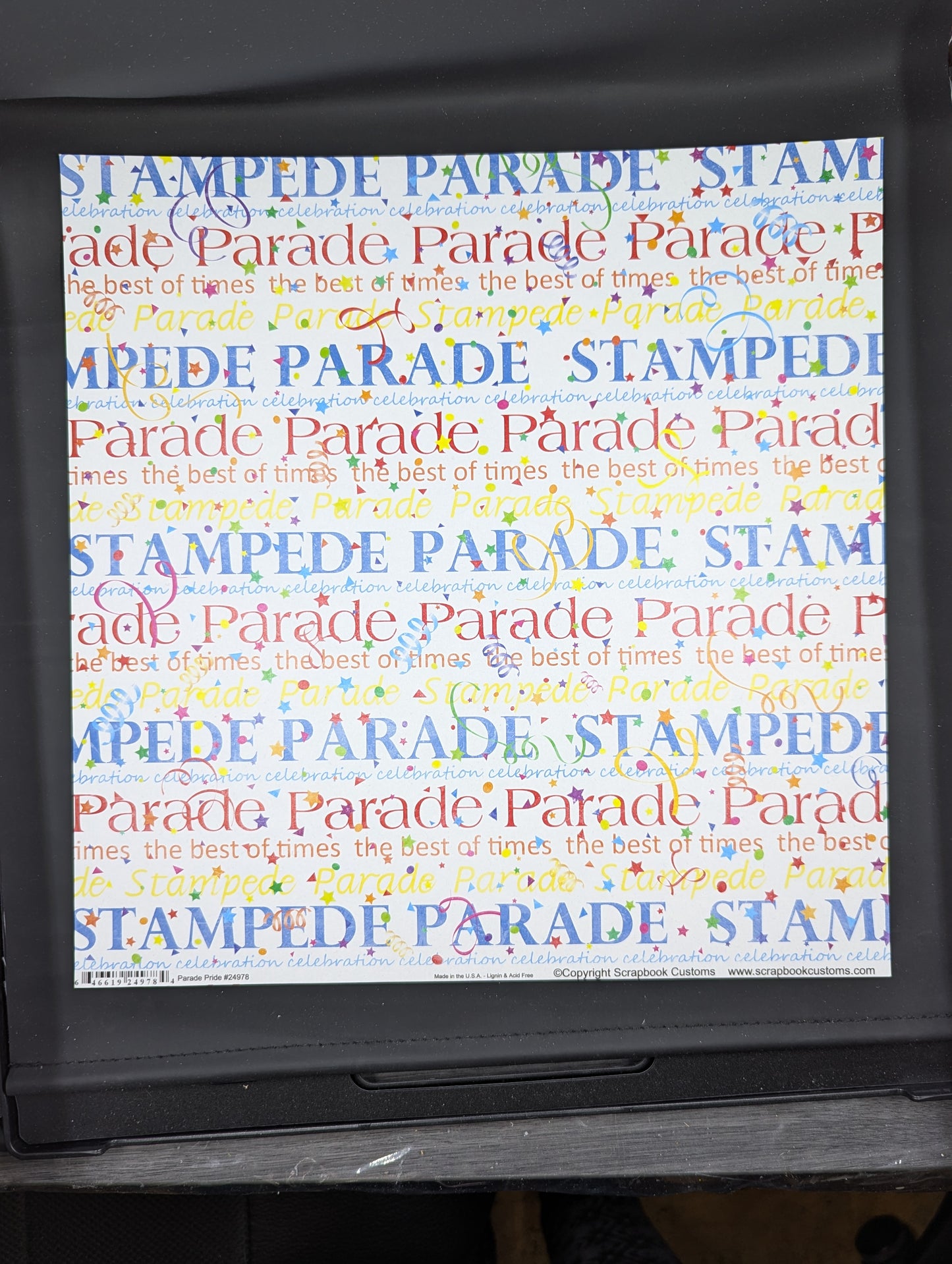 Stampede Parade 12x12