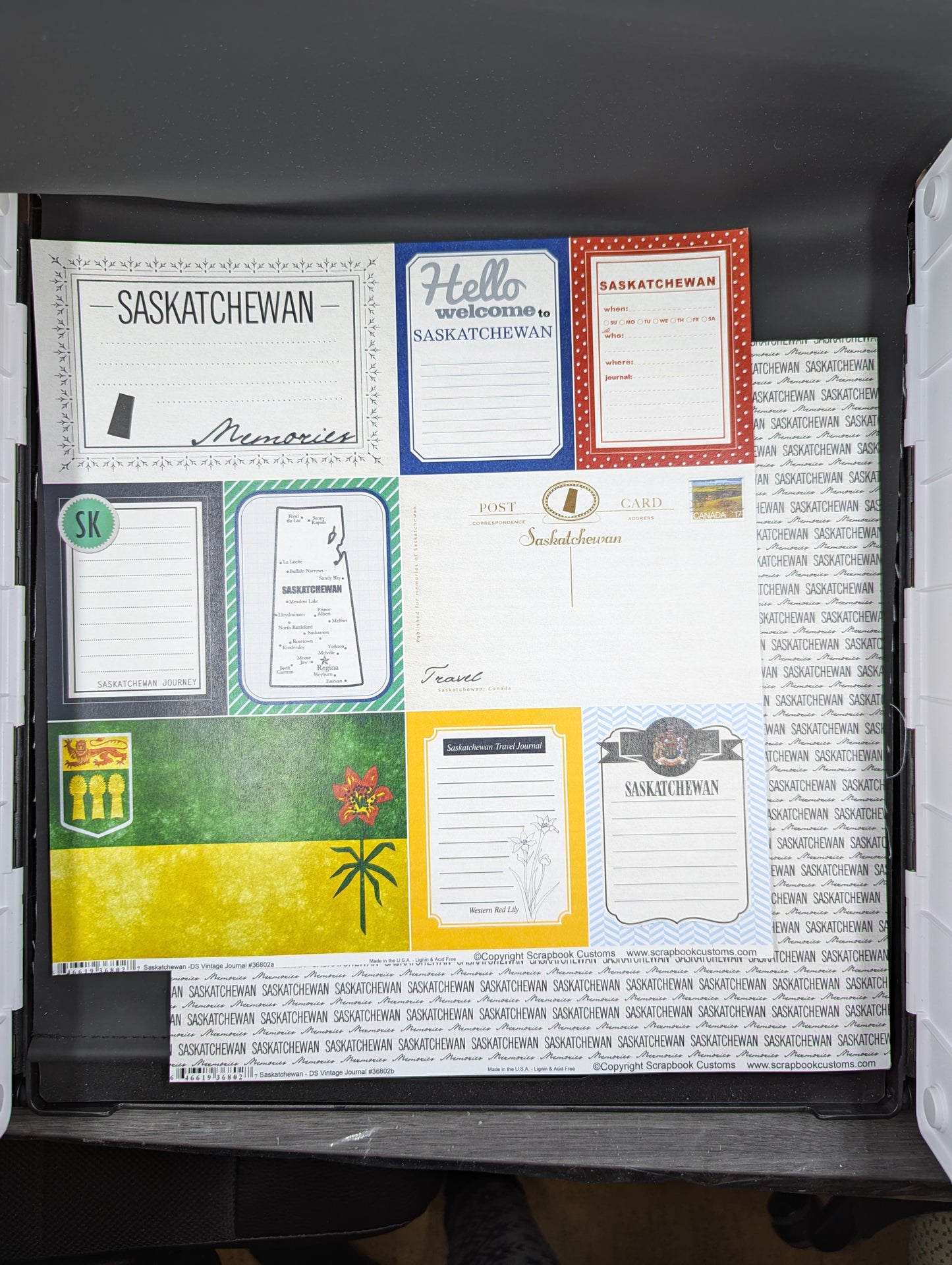 Saskatchewan DS vintage JOurnal