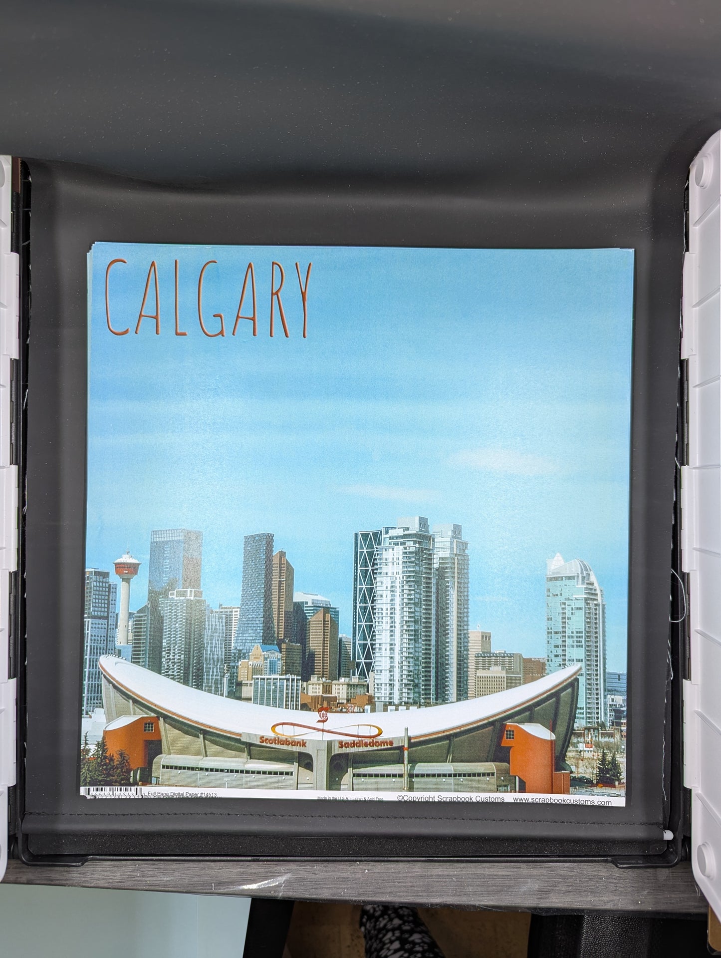 Calgary Saddledome 12x12