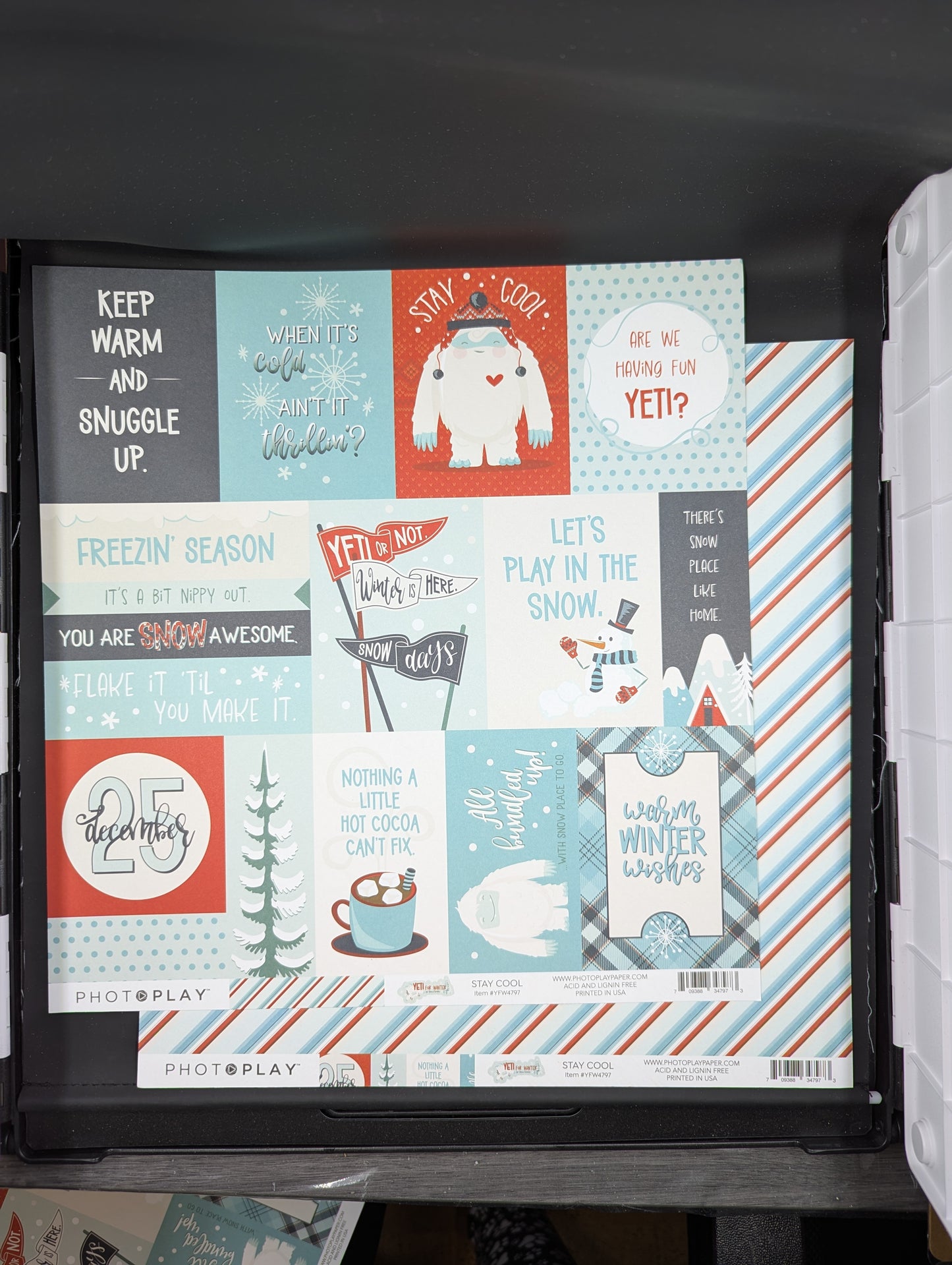 Stay cool yeti for winter
