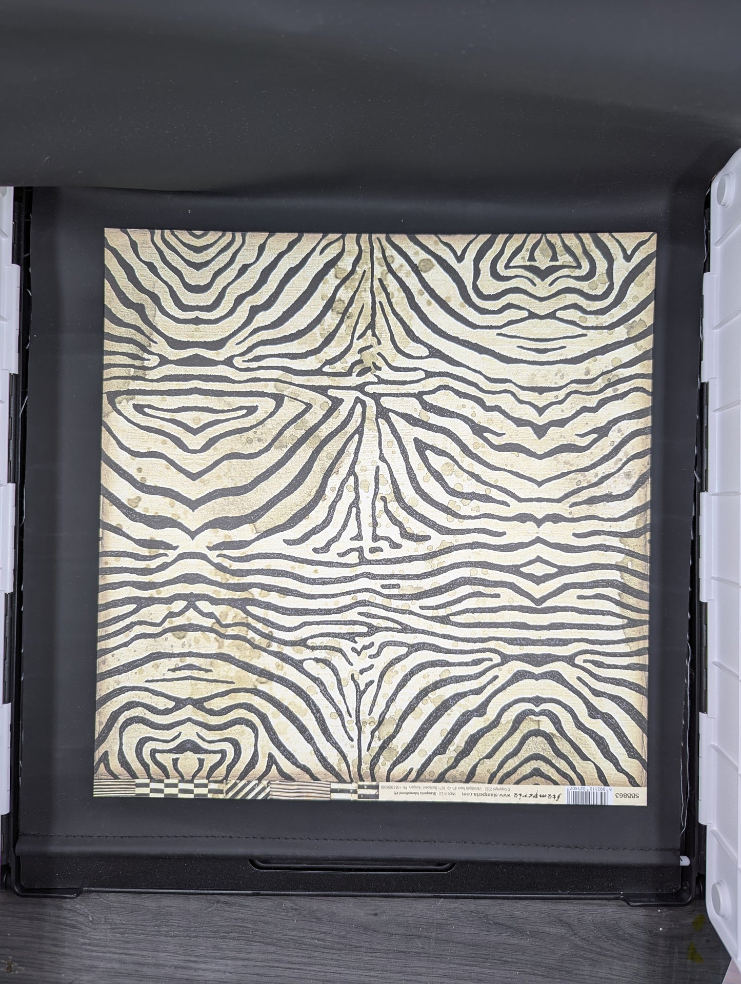 Zebra stripes 12x12
