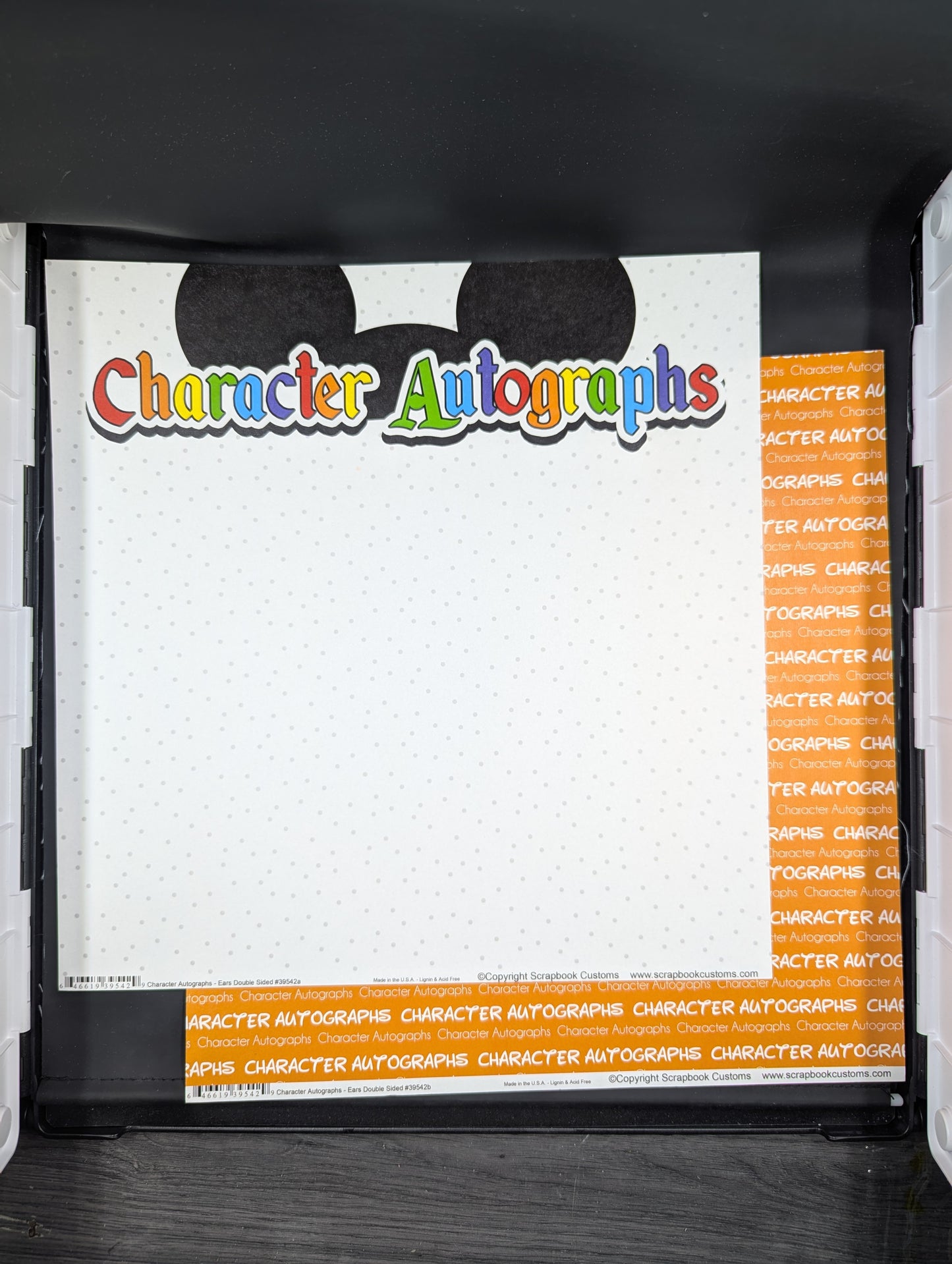 Disney character autographs