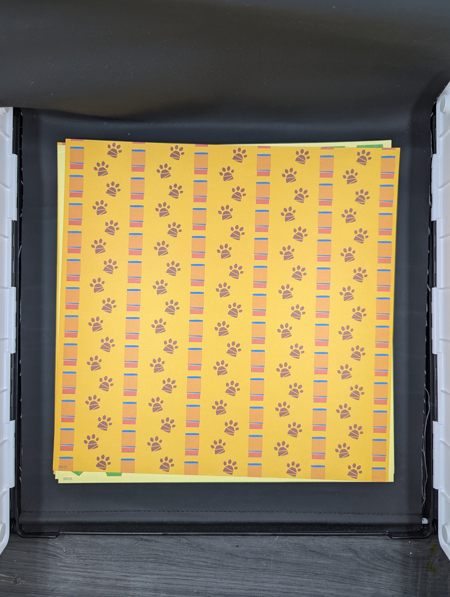Disney paw prints