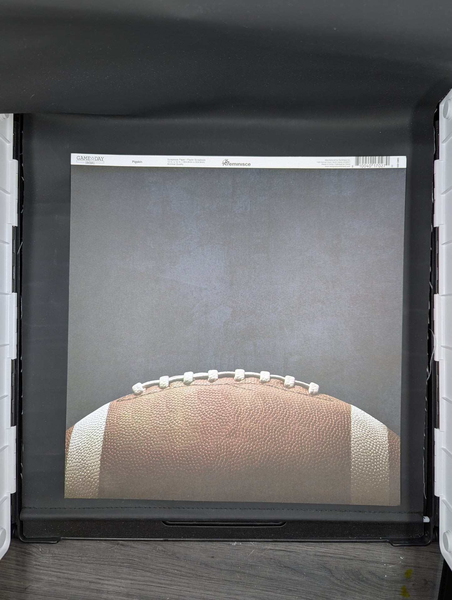 Pigskin football