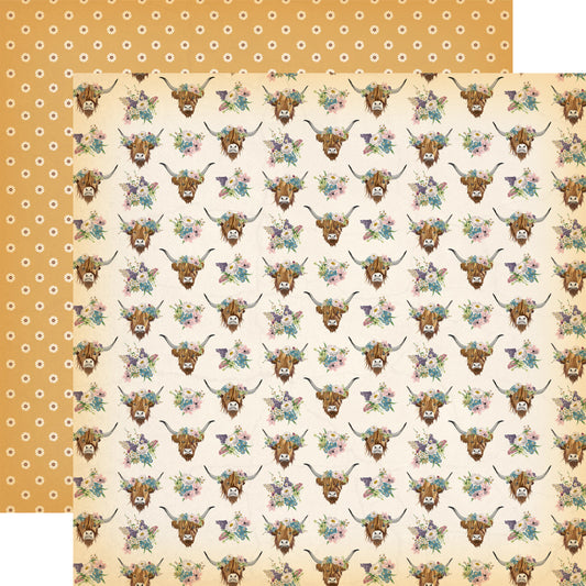 12X12 Patterned Paper, Cowgirl - Highland Cows