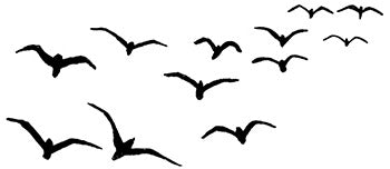 Clear Stamp, Birds