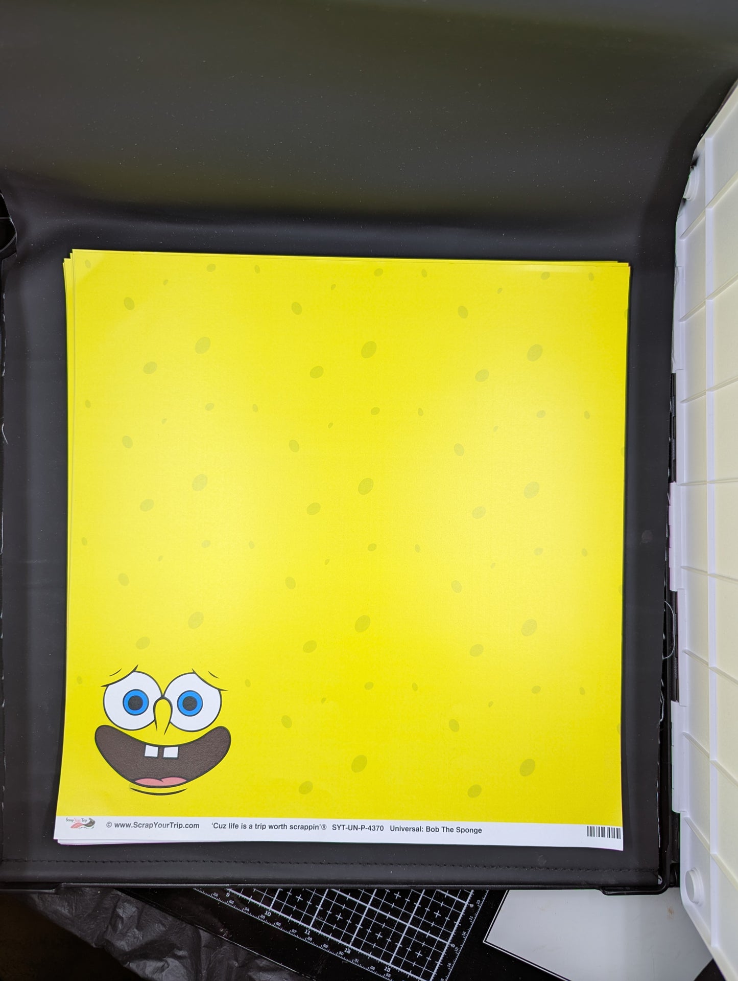 12x12 sponge Bob Universal