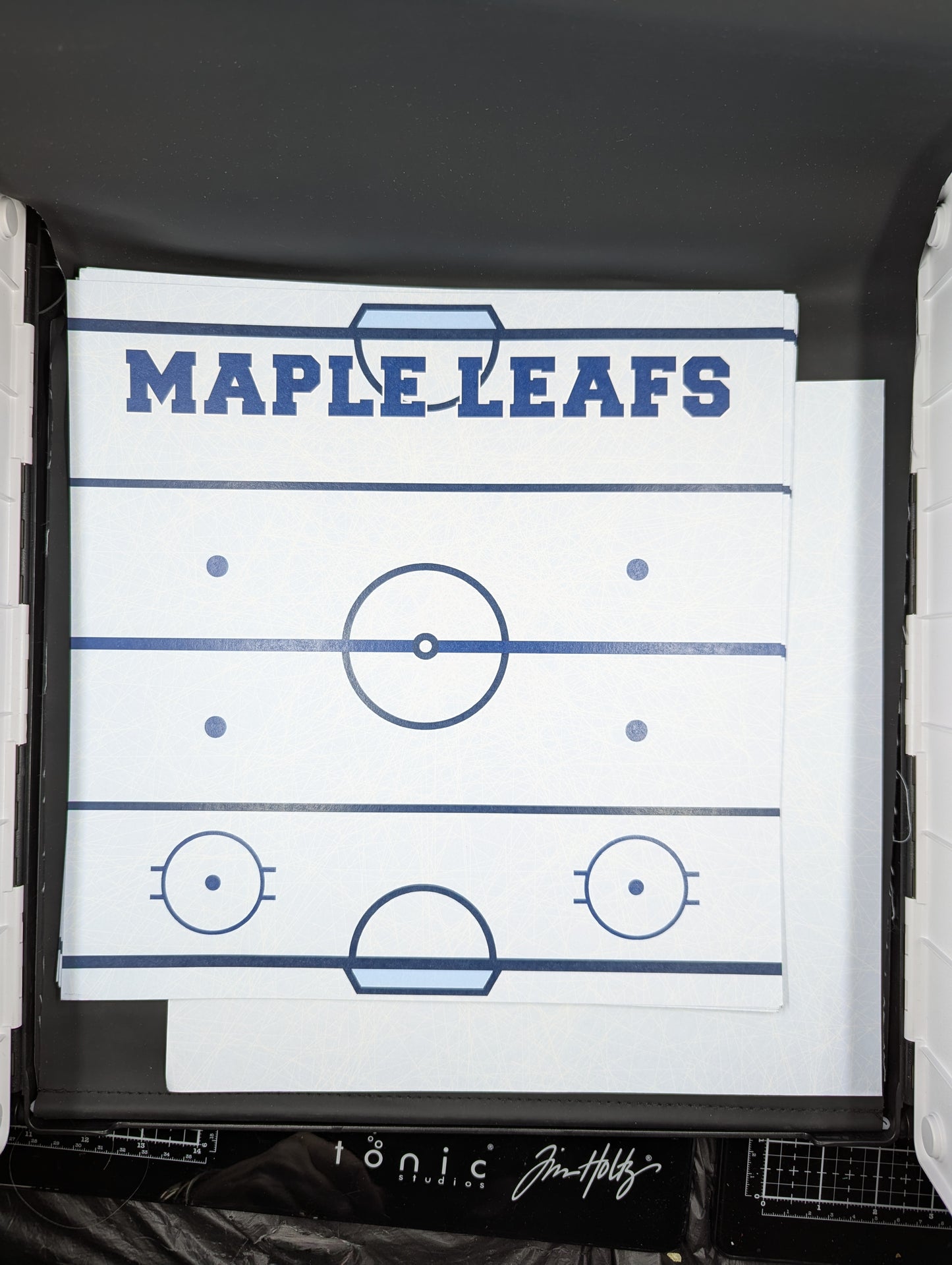 12x12 Maple Leafs hockey arena backside ice