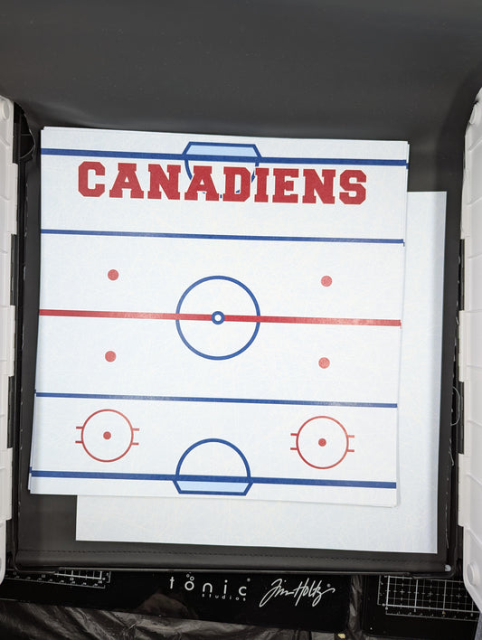 12x12 Canadiens hockey rink backside ice