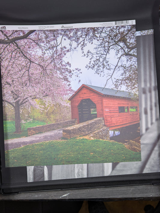 Cherry blossoms covered bridge