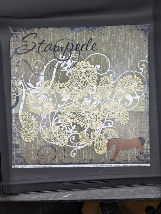 Stampede Paisley 12x12