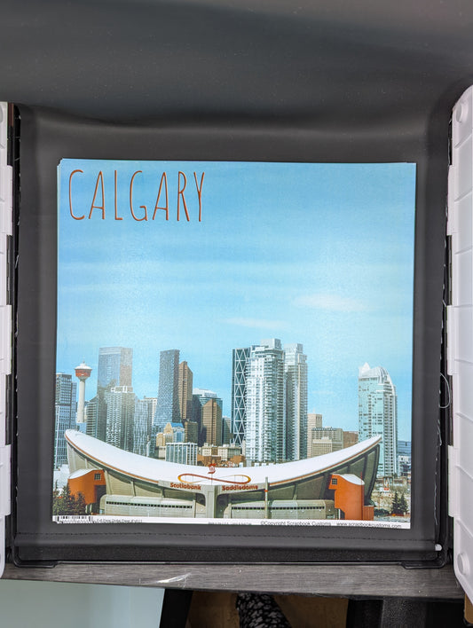 Calgary Saddledome 12x12