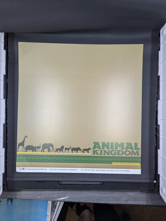 Animal kingdom magic parks