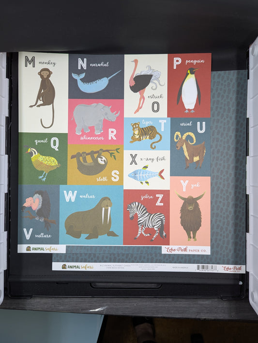 Animal safari m-z 12x12