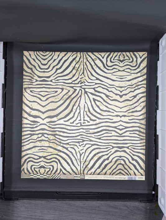 Zebra stripes 12x12