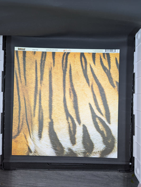 Bengal tiger 12x12