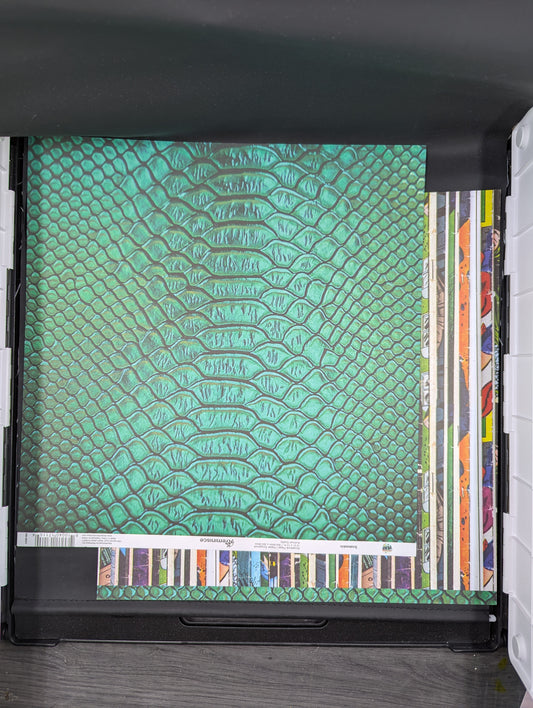 Snakeskin 12x12