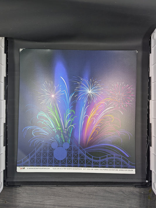 Disney coaster and fireworks