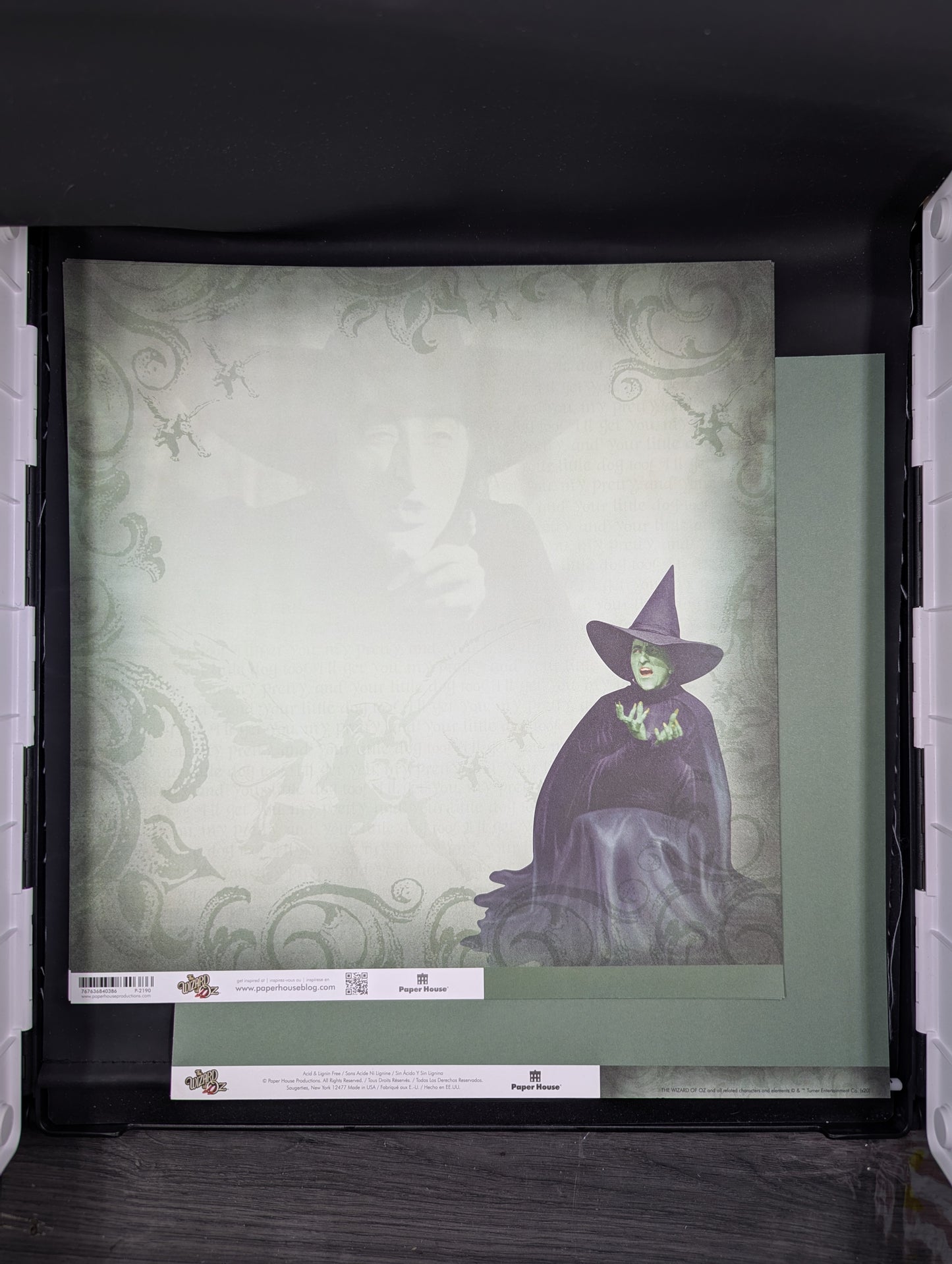 Wizard of Oz wicked witch