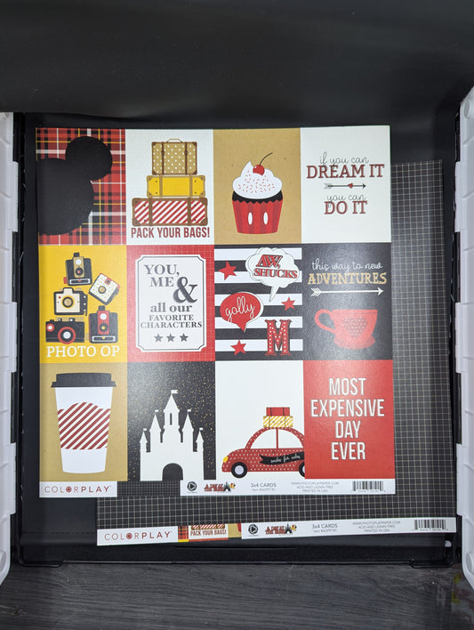 Disney day at the park 3x4 cards