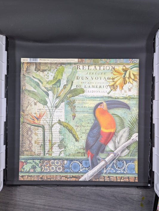 Parrot