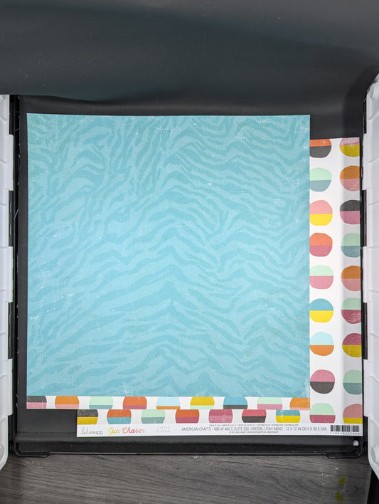 playful animal print zebra